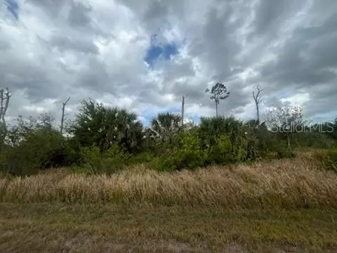Cardon Street, North Port, FL 34288