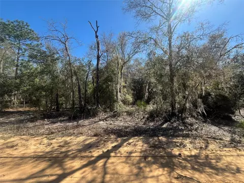Kitty, Interlachen, FL 32148