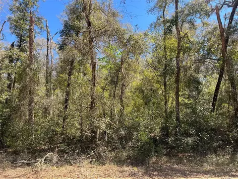 Walker, Interlachen, FL 32148