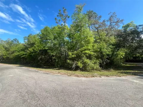 Guava Pass Court, Ocklawaha, FL 32179