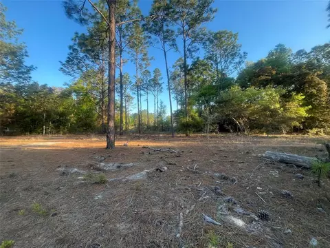 SW 204th, Dunnellon, FL 34431