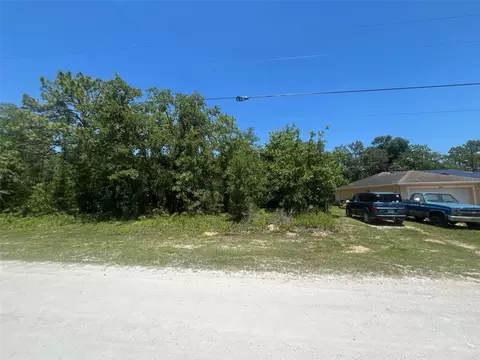 tbd Cliff Swallow Rd, Brooksville, FL 34614