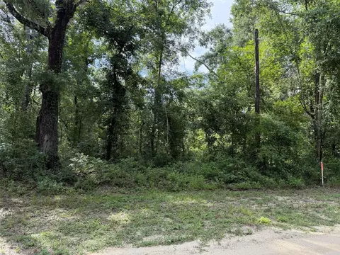 Running Springs Drive, Live Oak, FL 32060