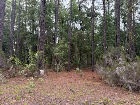 134 7th Way, Interlachen, FL 32148 photo 1