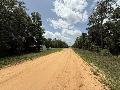 604 Kitty, Interlachen, FL 32148 photo 4