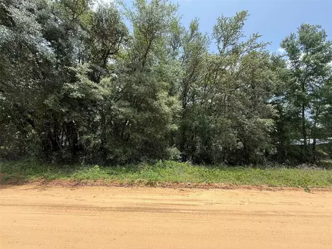 604 Kitty, Interlachen, FL 32148 photo 5