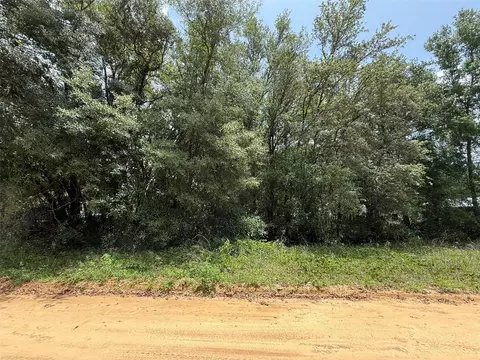 604 Kitty, Interlachen, FL 32148