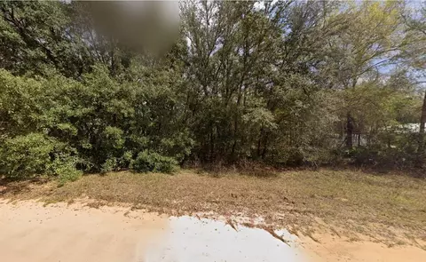 604 Kitty, Interlachen, FL 32148 photo 6