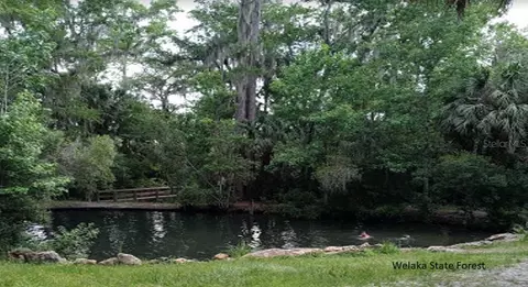 604 Kitty, Interlachen, FL 32148 photo 11