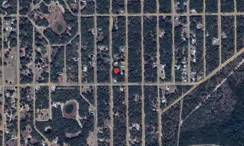 604 Kitty, Interlachen, FL 32148 photo 8