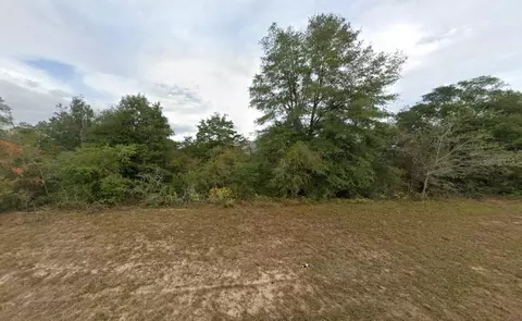 Elkcam Boulevard, Chipley, FL 32428