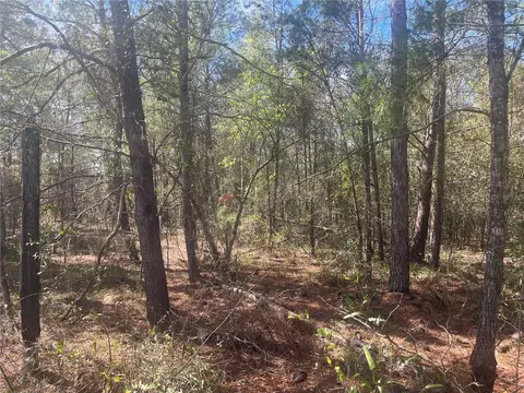 tbd Martha Dr, Interlachen, FL 32148