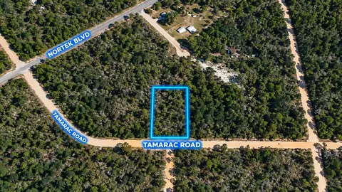 Tamarac Road, Marianna, FL 32448