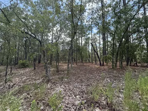 NW Tree Top Road, Dunnellon, FL 34431