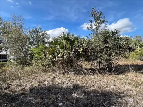 14667 NW 294th St, Okeechobee, FL 34972 photo 3