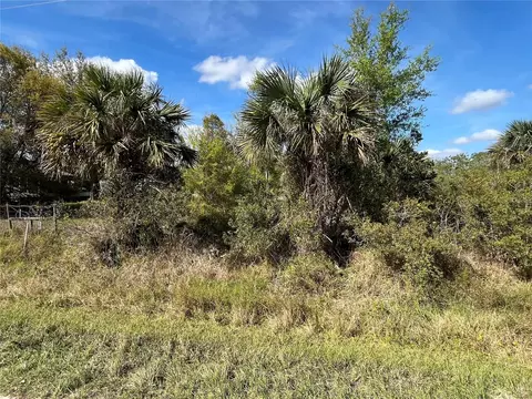 14667 NW 294th St, Okeechobee, FL 34972 photo 5