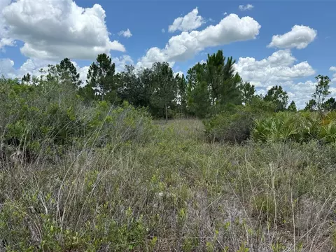 NW 310th Street, Okeechobee, FL 34972