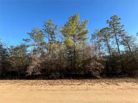 Goreville Avenue, Alford, FL 32420