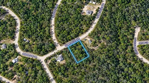 Goreville Avenue, Alford, FL 32420