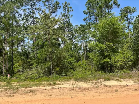 Holly Springs Avenue, Alford, FL 32420
