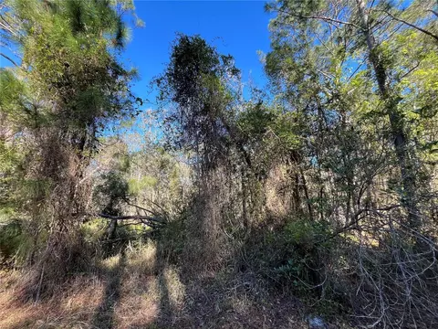 208 SE 3rd St, Georgetown, FL 32139 photo 5