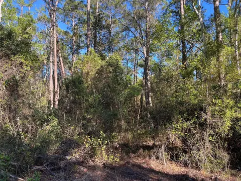 208 SE 3rd St, Georgetown, FL 32139 photo 3