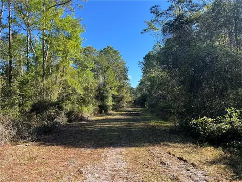 208 SE 3rd St, Georgetown, FL 32139