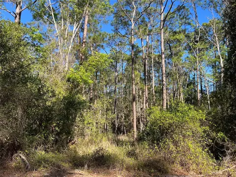 208 SE 3rd St, Georgetown, FL 32139 photo 2