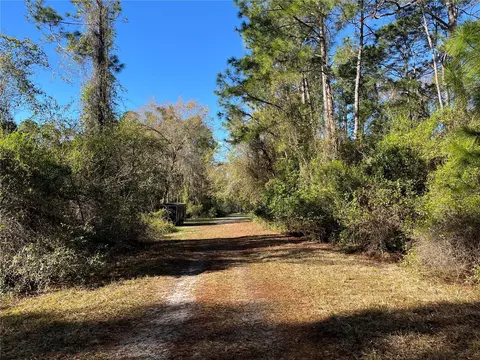 208 SE 3rd St, Georgetown, FL 32139 photo 4
