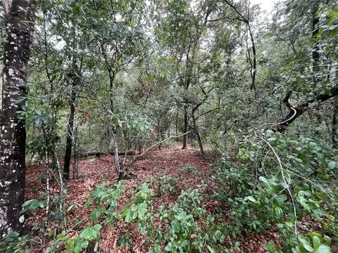 tbd Rintz St, Interlachen, FL 32148