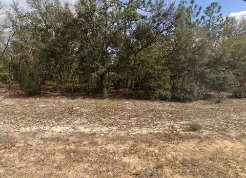 308 Janet Ave, Interlachen, FL 32148 photo 1