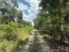 313 Calhoun Ave, Florahome, FL 32140