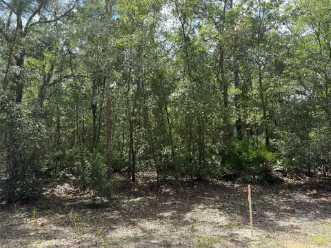109 Pinellas St, Florahome, FL 32140