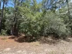 109 Pinellas St, Florahome, FL 32140