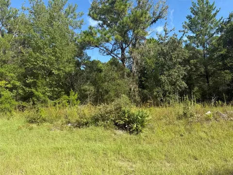 79 Th Terrace Rd, Dunnellon, FL 34432