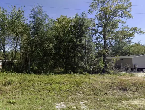 Dawn Avenue, Interlachen, FL 32148 photo 4