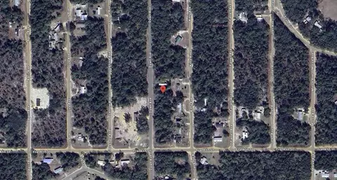 Dawn Avenue, Interlachen, FL 32148 photo 7