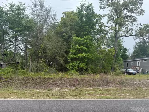 Dawn Avenue, Interlachen, FL 32148 photo 2
