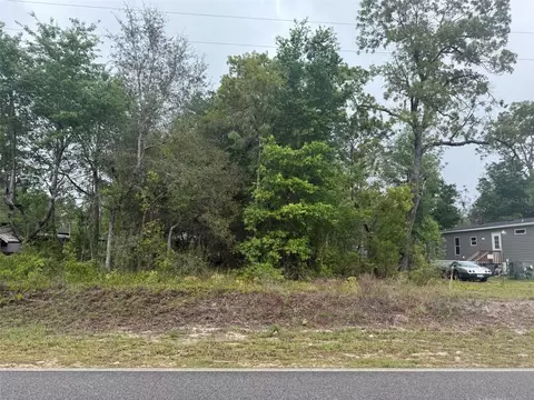 Dawn Avenue, Interlachen, FL 32148 photo 3