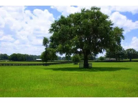 6190 NW 110 St, Reddick, FL 32686 photo 1