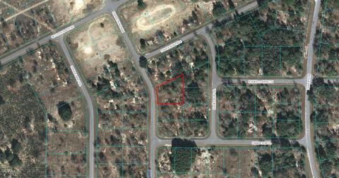 00 Fisher Run Trak, Ocklawaha, FL 32179