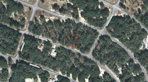 00 Fisher Way Trl, Ocklawaha, FL 32179