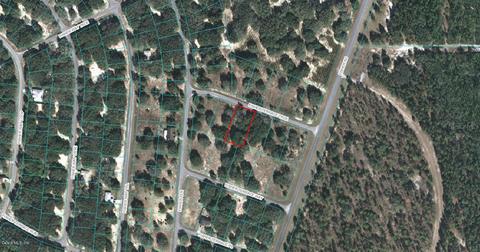 00 Fisher Terrace Trce, Ocklawaha, FL 32179