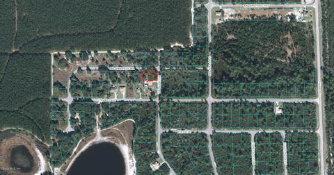 00 Malauka Ter, Ocklawaha, FL 32179