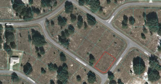 00 Guava Terrace Ct, Ocklawaha, FL 32179