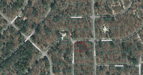 00 Guava Pass Crse, Ocklawaha, FL 32179