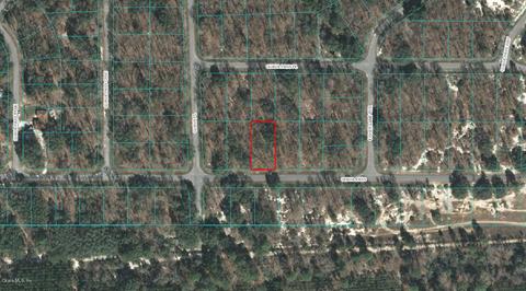 00 Guava Pass, Ocklawaha, FL 32179