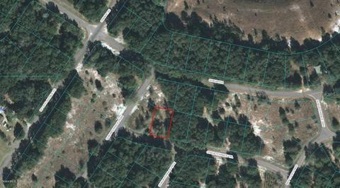 00 Guava Terrace Trl, Ocklawaha, FL 32179