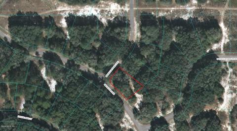 00 Magnolia Pass Crse, Ocklawaha, FL 32179