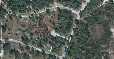 00 Malauka Place Ter, Ocklawaha, FL 32179